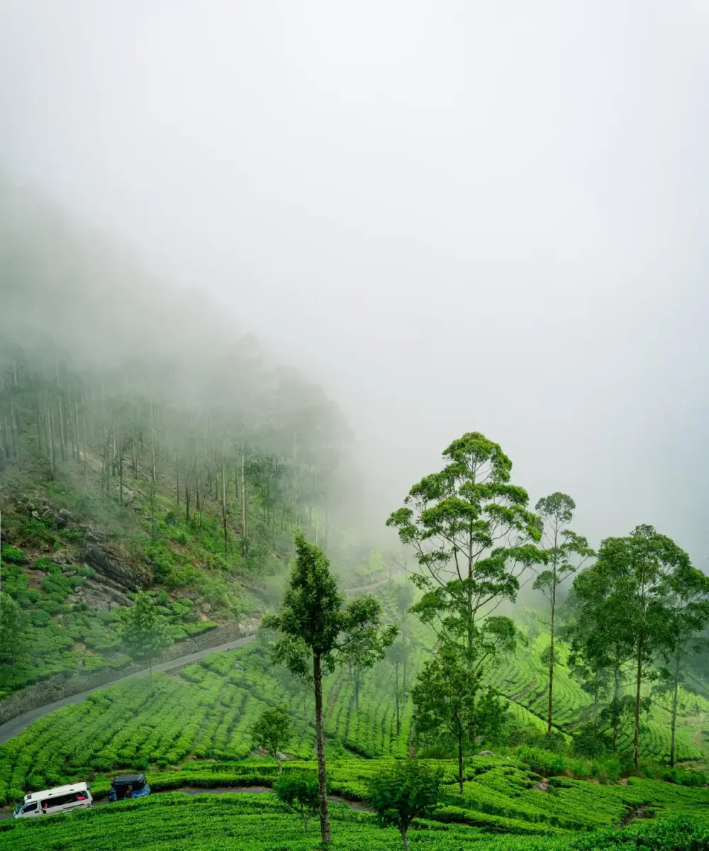 Wayanad