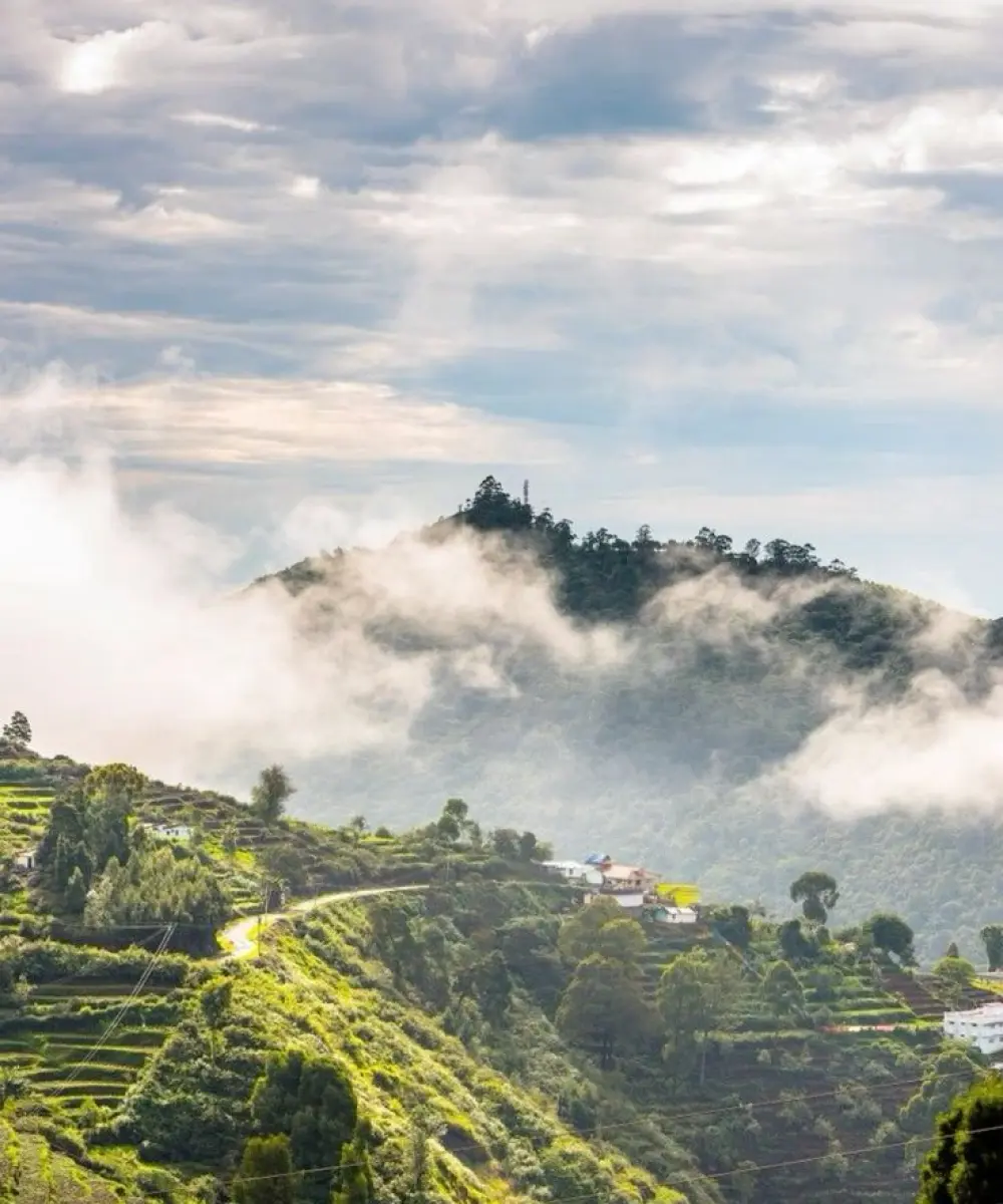 Coorg